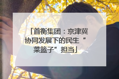 首衡集团：京津冀协同发展下的民生“菜篮子”担当
