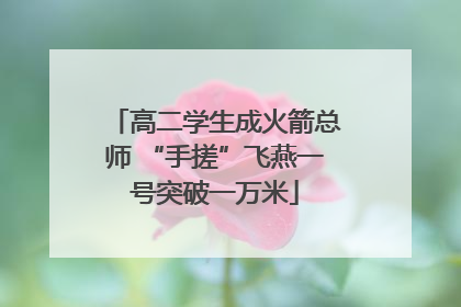 高二学生成火箭总师 “手搓”飞燕一号突破一万米