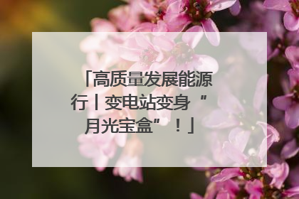 高质量发展能源行丨变电站变身“月光宝盒”！