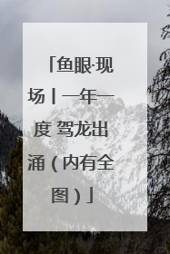 鱼眼·现场丨一年一度 驾龙出涌（内有全图）