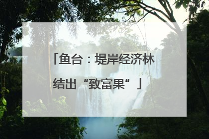 鱼台：堤岸经济林结出“致富果”