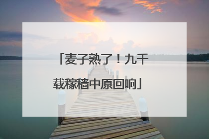麦子熟了！九千载稼穑中原回响