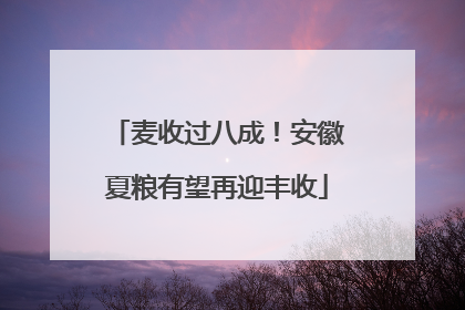 麦收过八成！安徽夏粮有望再迎丰收
