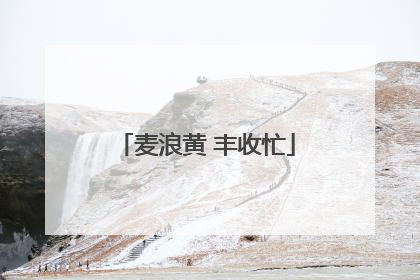 麦浪黄 丰收忙