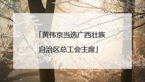 黄伟京当选广西壮族自治区总工会主席