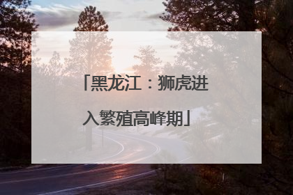 黑龙江：狮虎进入繁殖高峰期