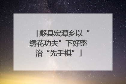 黟县宏潭乡以“绣花功夫”下好整治“先手棋”