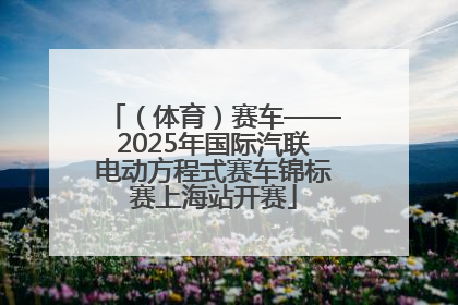 （体育）赛车——2025年国际汽联电动方程式赛车锦标赛上海站开赛