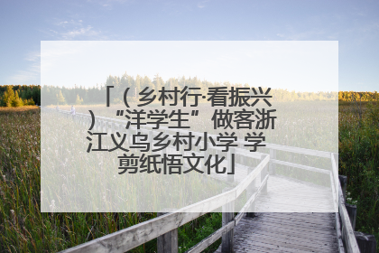 （乡村行·看振兴）“洋学生”做客浙江义乌乡村小学 学剪纸悟文化