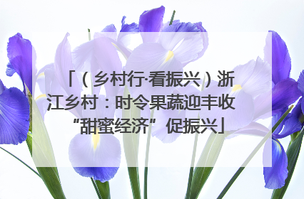（乡村行·看振兴）浙江乡村：时令果蔬迎丰收 “甜蜜经济”促振兴