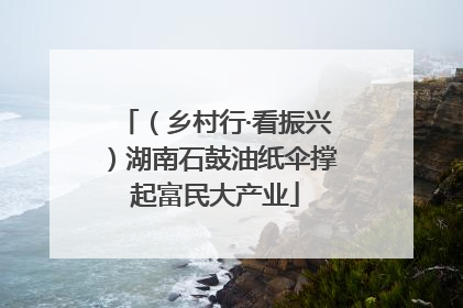 （乡村行·看振兴）湖南石鼓油纸伞撑起富民大产业