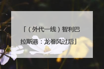 （外代一线）智利巴拉斯港：龙卷风过后