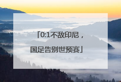 0:1不敌印尼，国足告别世预赛