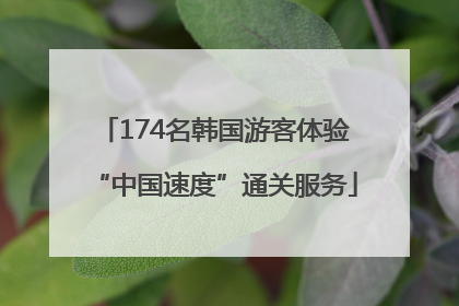 174名韩国游客体验“中国速度”通关服务