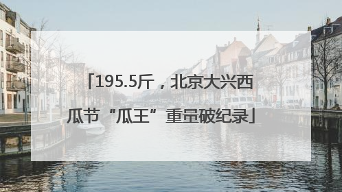 195.5斤，北京大兴西瓜节“瓜王”重量破纪录