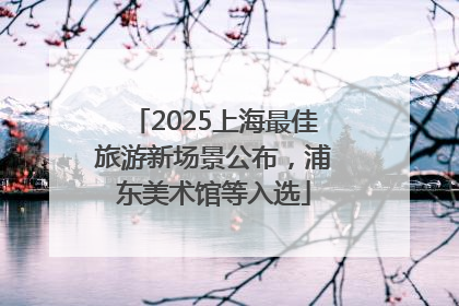 2025上海最佳旅游新场景公布，浦东美术馆等入选