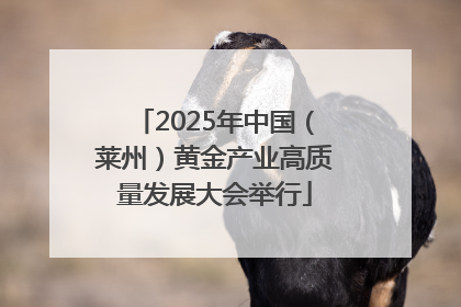 2025年中国（莱州）黄金产业高质量发展大会举行