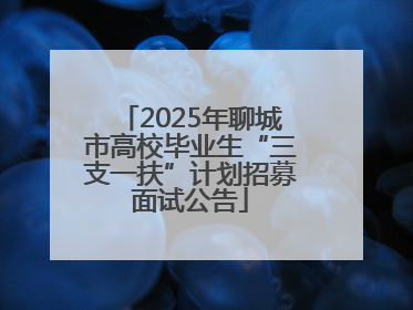 2025年聊城市高校毕业生“三支一扶”计划招募面试公告