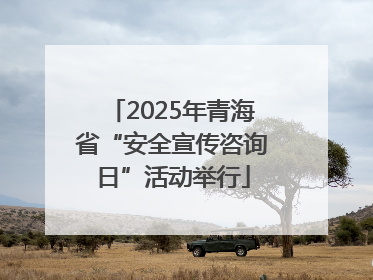 2025年青海省“安全宣传咨询日”活动举行
