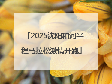 2025沈阳和河半程马拉松激情开跑