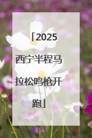 2025西宁半程马拉松鸣枪开跑