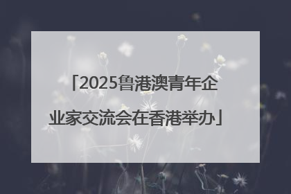 2025鲁港澳青年企业家交流会在香港举办