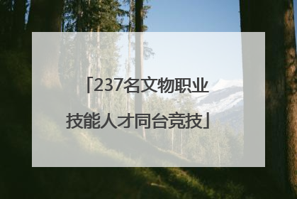 237名文物职业技能人才同台竞技