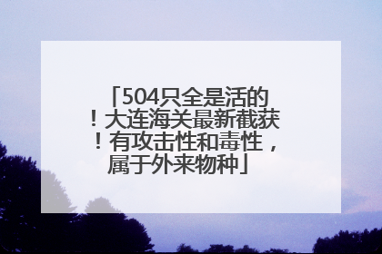 504只全是活的！大连海关最新截获！有攻击性和毒性，属于外来物种