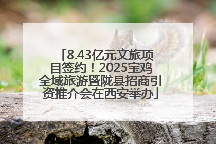 8.43亿元文旅项目签约！2025宝鸡全域旅游暨陇县招商引资推介会在西安举办