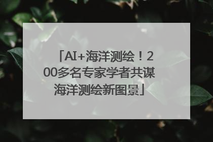 AI+海洋测绘！200多名专家学者共谋海洋测绘新图景