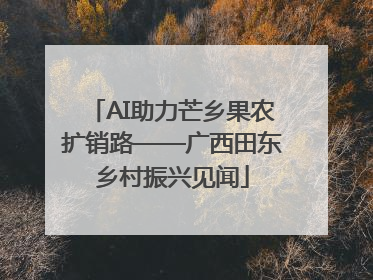 AI助力芒乡果农扩销路——广西田东乡村振兴见闻
