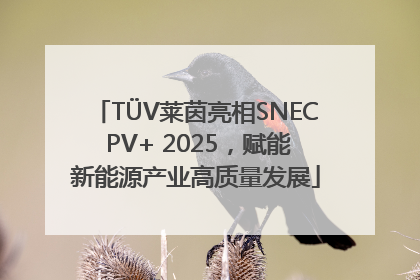 TÜV莱茵亮相SNEC PV+ 2025，赋能新能源产业高质量发展